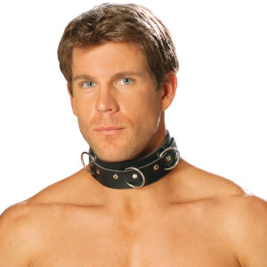 Men's leather collar with O rings and nail heads