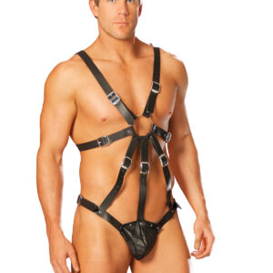 Leather harness with attached pouch