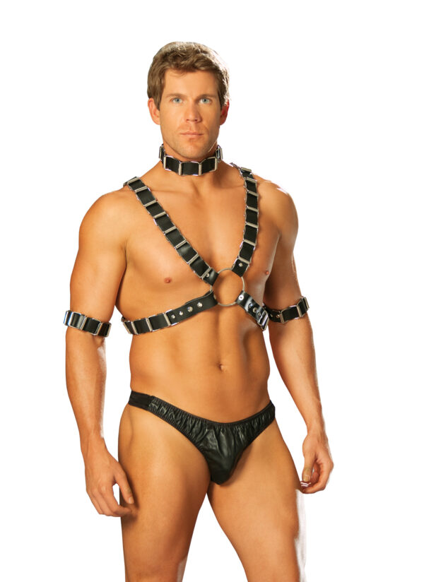 4 piece adjustable harness - 4 piece adjustable harness. Set includes leather harness